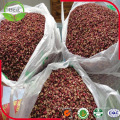 Hua Jiao Especias y Hierbas Sichuan Red Pepper